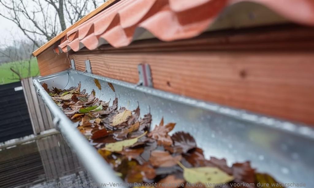 Dakgoot Reparatie Nieuw Vennep