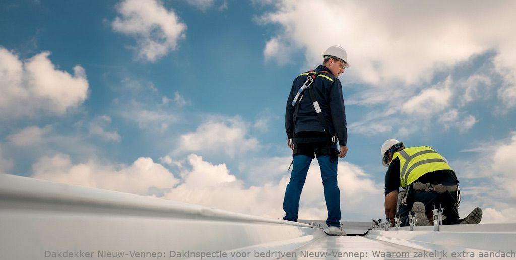 Dakinspectie Voor Bedrijven Nieuw Vennep