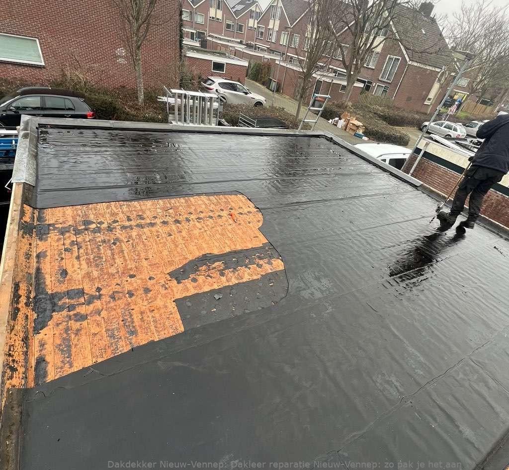 Dakleer Reparatie Nieuw Vennep
