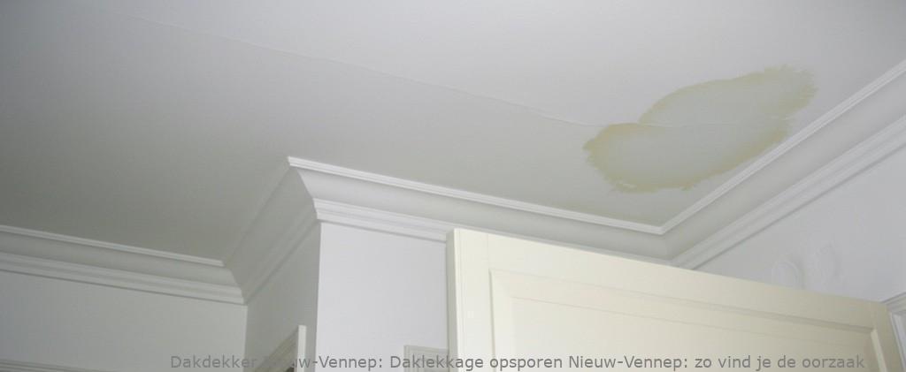 Daklekkage Opsporen Nieuw Vennep