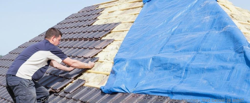 Kosten Van Een Dakreparatie Nieuw Vennep