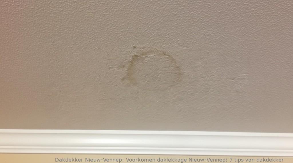 Voorkomen Daklekkage Nieuw Vennep