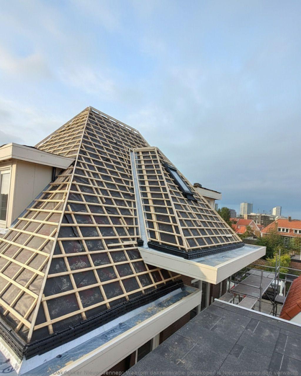 Waarom Dakrenovatie Goedkoper Is Nieuw Vennep